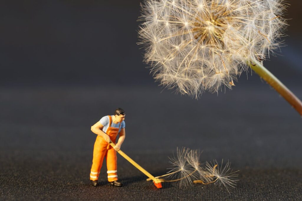 pexels pixabay 434163 The Complete Guide to End of Lease Cleaning in Perth: Tips for a Hassle-Free Move 21